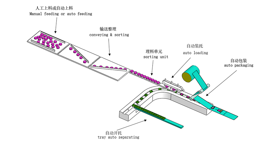 食品包裝設備 食品包裝設備