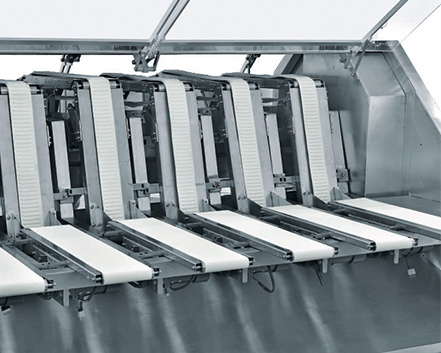 食品包裝設(shè)備 食品包裝設(shè)備